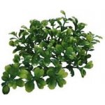 Lucky Reptile Horn Fern 40 cm – Hledejceny.cz