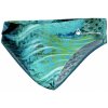 Koupací šortky, boardshorts Aqua Sphere Kent Vita Multicolor/black