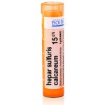 HEPAR SULFURIS CALCAREUM POR 9CH GRA 4G – Hledejceny.cz