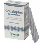 PROTEXIN Cobalaplex pro psy a kočky 60 kapslí – Hledejceny.cz