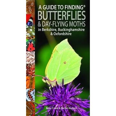 Guide to Finding Butterflies and Day-Flying Moths in Berkshire, Buckinghamshire and Oxfordshire