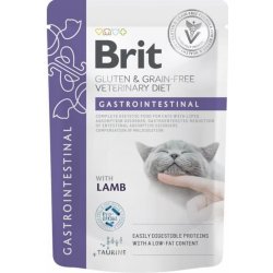 Brit VD Cat Fillets in Gravy Gastrointest 12 x 85 g