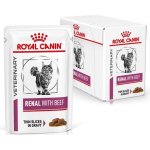 Royal Canin VD Cat Renal Beef 12 x 85 g – Sleviste.cz