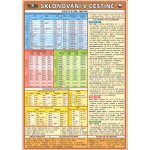 Skloňování v češtině - Kupka Petr a kolektiv – Zboží Dáma