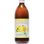 EkoMedica Dula 100% šťáva 0,5 l – Hledejceny.cz