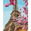 Malování podle čísla ASTRA Malování podle čísel: Eiffelova věž plátno na rámu 40x50 cm 155740