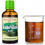 Bylinné kapky Řebříček květ 50 ml – Hledejceny.cz