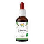Salvia Paradise Gymnéma lesní AF tinktura Bio 50 ml – Hledejceny.cz