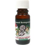 Slow natur vonný olej Kouzlo Vánoc 10 ml – Hledejceny.cz