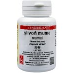 Sinecura Slivoň mume Wumei extrakt 20 g – Hledejceny.cz