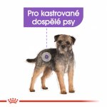 Royal Canin Mini Sterilised 3 kg – Zboží Mobilmania