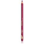 L'Oréal Paris Tužka na rty Color Riche Le Lipliner 127 Paris NY 1,2 g – Zboží Dáma