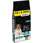 Purina Pro Plan Large Adult Athletic Sensitive Digestion jehněčí 14 kg – Zboží Mobilmania