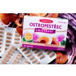 Terezia Company Ostropestřec + reishi Forte 600 mg 60 kapslí – Hledejceny.cz