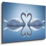 Skleněný obraz 1D - 100 x 70 cm - Romantic two swans, symbol of love. Romantické dvě labutě, symbol lásky. – Hledejceny.cz