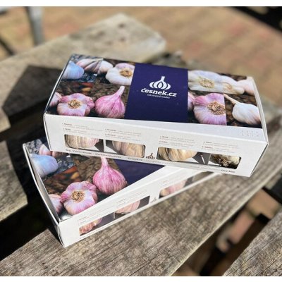 Český sadbový česnek 8 odrůd v krabičce – Sleviste.cz