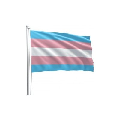 Transgender Pride Flag transgender vlajka hrdosti 90 x 150 cm – Zboží Dáma
