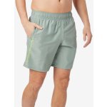 Under Armour Tech Woven Wordmark short – Sleviste.cz