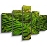 Obraz 5D pětidílný - 150 x 100 cm - Batad Rice Terraces in Northern Luzon, Philippines. Rýžové terasy Batad v severním Luzonu na Filipínách.