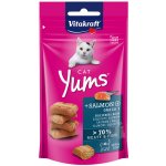 Vitakraft Cat Yums Losos Omega 3 40 g – Hledejceny.cz