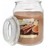 Bispol Aura Maxi Cinnamon 500 g – Zboží Dáma