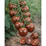 SEMO Rajče tyčkové ´Tigrino´ 30 s – Zboží Mobilmania