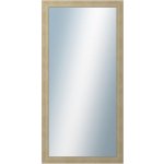 DANTIK ANDRÉ 50 x 100 cm champagne 3158 – Hledejceny.cz