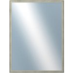 DANTIK DELFINO 60x80 cm stříbrná 2897 – Hledejceny.cz