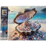 NORIMPEX Diamantové malování Škeble s pokladem 30 x 40 cm – Hledejceny.cz