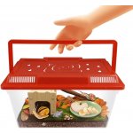 BUKI Šnečí domeček bioterárium – Zbozi.Blesk.cz