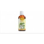 Serafin tinktura z pupenů Jinan Ginkgo biloba 50 ml – Hledejceny.cz