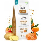 Brit Care Grain-free Senior & Light Salmon 1 kg – Hledejceny.cz