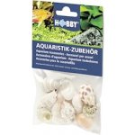 Hobby Sea Shells Set M 10 ks – Zbozi.Blesk.cz