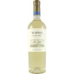 Wapisa Sauvignon Blanc Bílé 2021 12,5% 0,75 l (holá láhev) – Hledejceny.cz