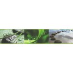 A.S. Création 905611 Vliesová bordura na zeď Only Borders rozměry 10 cm x 5 m – Zboží Dáma