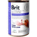 Brit Veterinary Diets Dog GF Gastrointestinal Low Fat 0,4 kg – Zboží Mobilmania