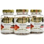 GN Exclusive Reishi 50% polysacharidů 300 kapslí – Hledejceny.cz