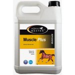 Horse Master Muscle Plus 5 l – Hledejceny.cz