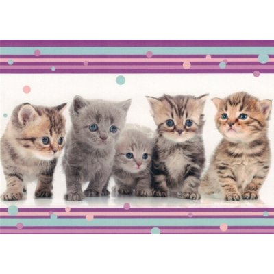 Pohlednice Koťata 112 – Zboží Dáma