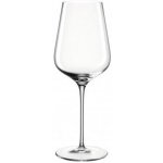 Leonardo Sklenička na bílé víno BRUNELLI 470 ml – Zboží Mobilmania