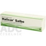 HALICAR DRM UNG 25G – Hledejceny.cz