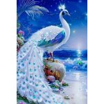 NORIMPEX Diamantové malování Bílý páv 30 x 40 cm – Hledejceny.cz