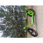 EcoWheel RETRUS 1000W 16Ah – Zboží Živě