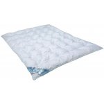 Julius Zöllner Steppbetten Basic set 40x60 100x135 – Zboží Dáma