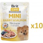 Brit Care Mini Rabbit & Salmon fillets in gravy 10 x 85 g – Hledejceny.cz