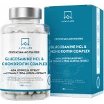 Aavalabs Glukosamin HCL & Chondroitin 180 kapslí – Hledejceny.cz
