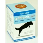 Arthronis fáze 1 Mini 60 tbl – Hledejceny.cz