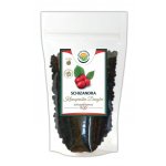 Salvia Paradise schizandra čínská plod dongbei 100 g – Zboží Dáma