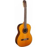 Takamine GC5-NAT – Hledejceny.cz