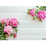 WEBLUX 313371368 Fototapeta papír Pink peony flowers on white wooden table. womans day or wedding background. Top view. Květy růžové pivoňky na bílém dřevěném stole. Ze rozměry 360 x 266 cm – Zboží Mobilmania